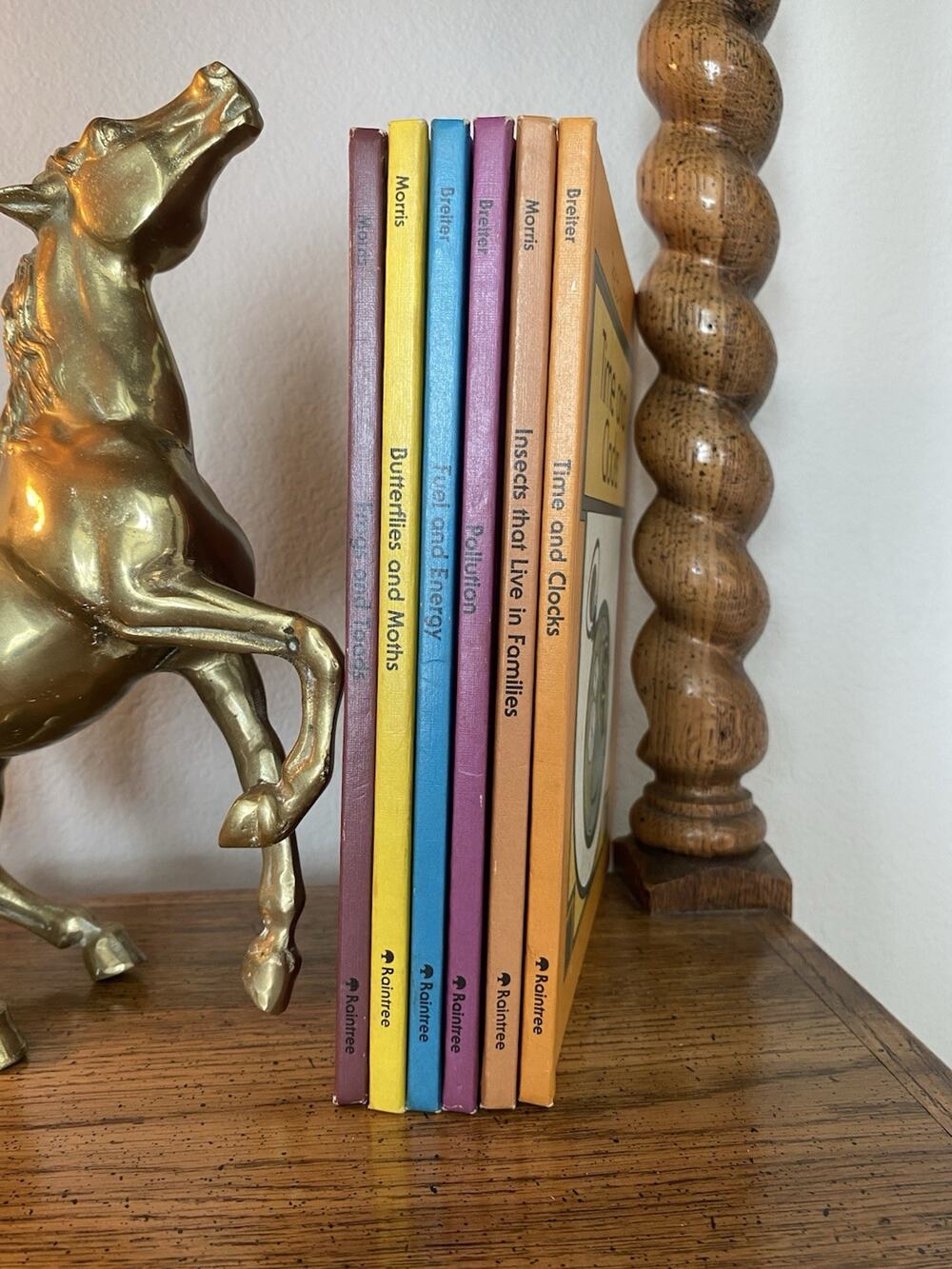 Vintage 'Read About' Children's Hardcover Books by Raintree Lot Of 6